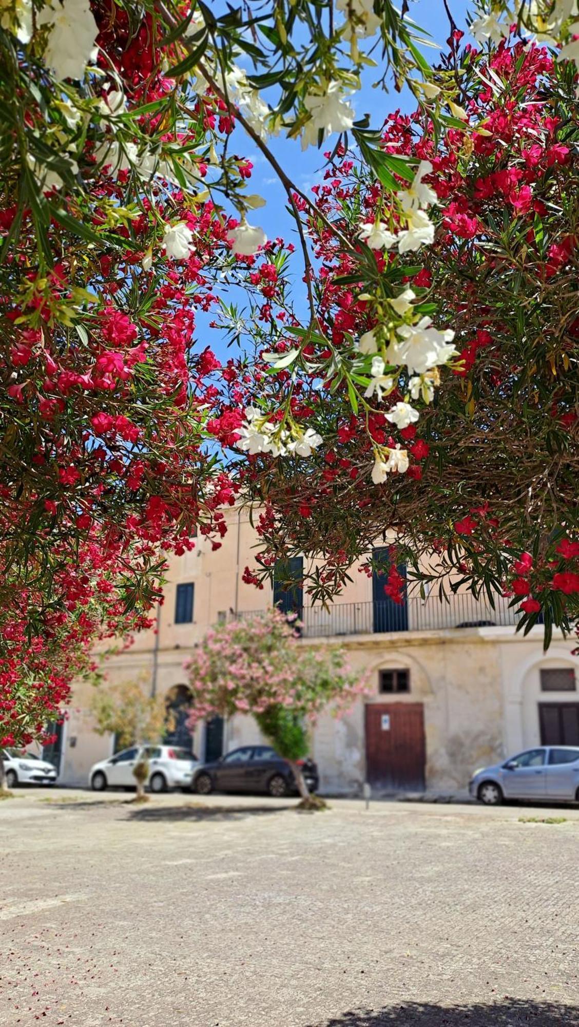Mayu'S House , Dimora Nel Centro Storico Di Lecce Exterior photo